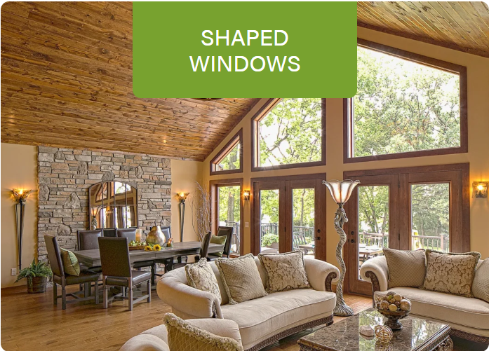 ProVia Specialty Shape Windows